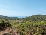 Point Reyes 003